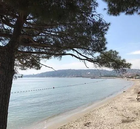 Juan Les Pins, T2 Cosy Et Confortable, Avec Parking En Sous-sol, Proche Plages Et Commerces Apartment